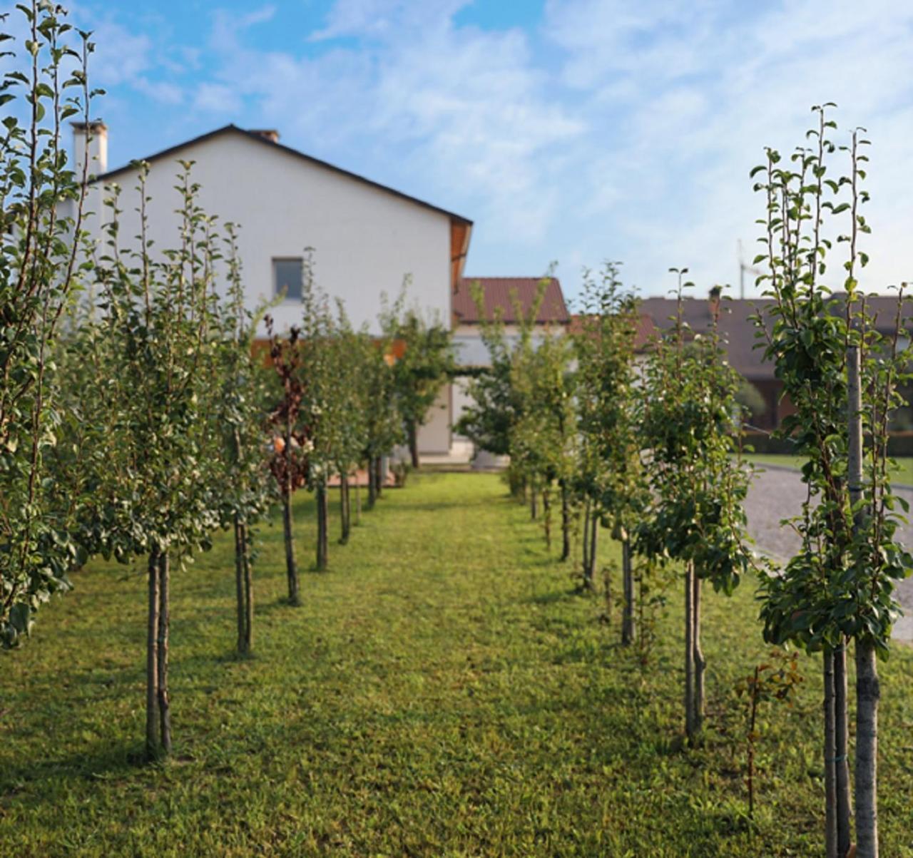 Agriturismo Corte Foscara Malcontenta Εξωτερικό φωτογραφία